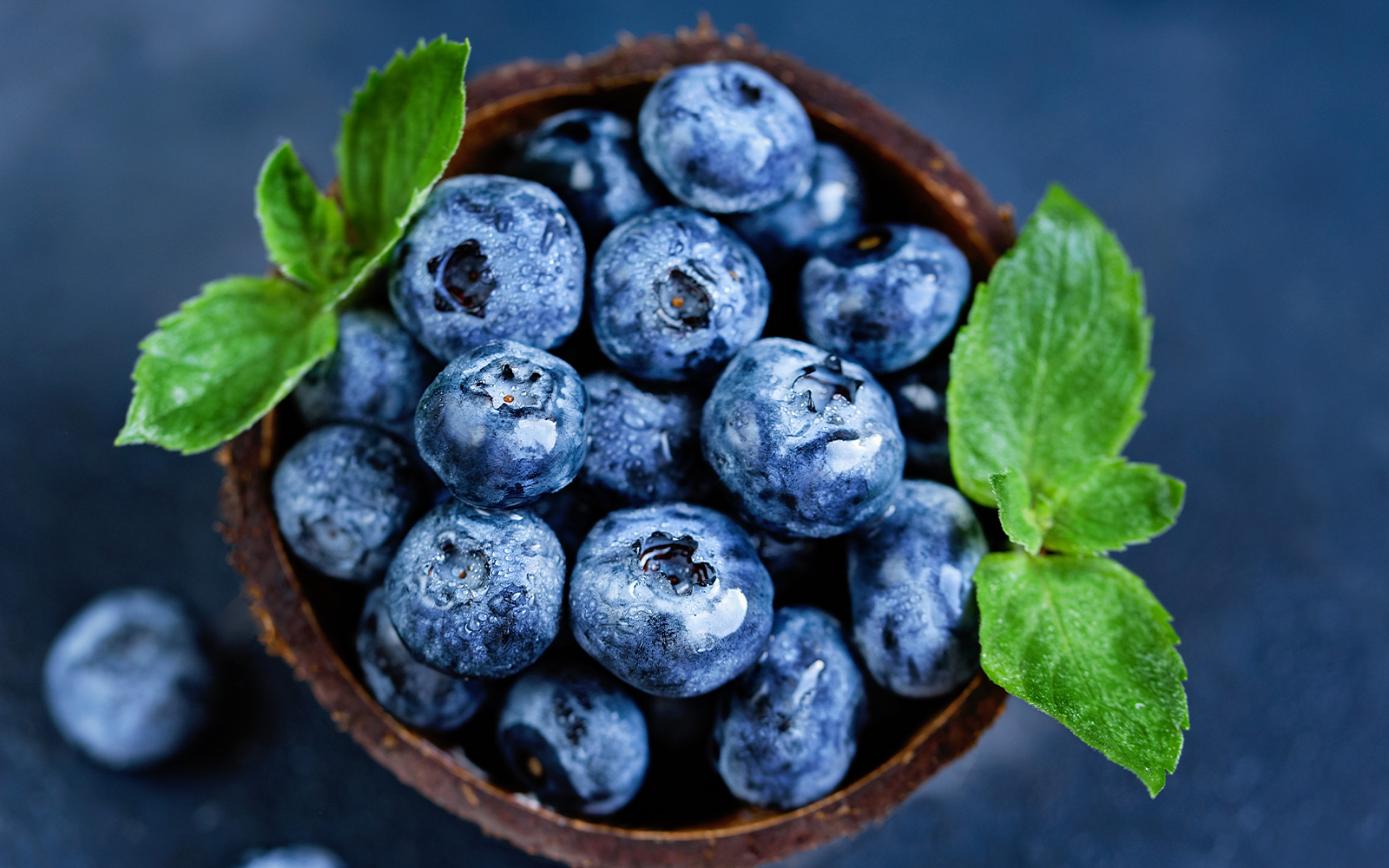 Blueberries Linked to Improved Memory and Slower Cognitive Decline