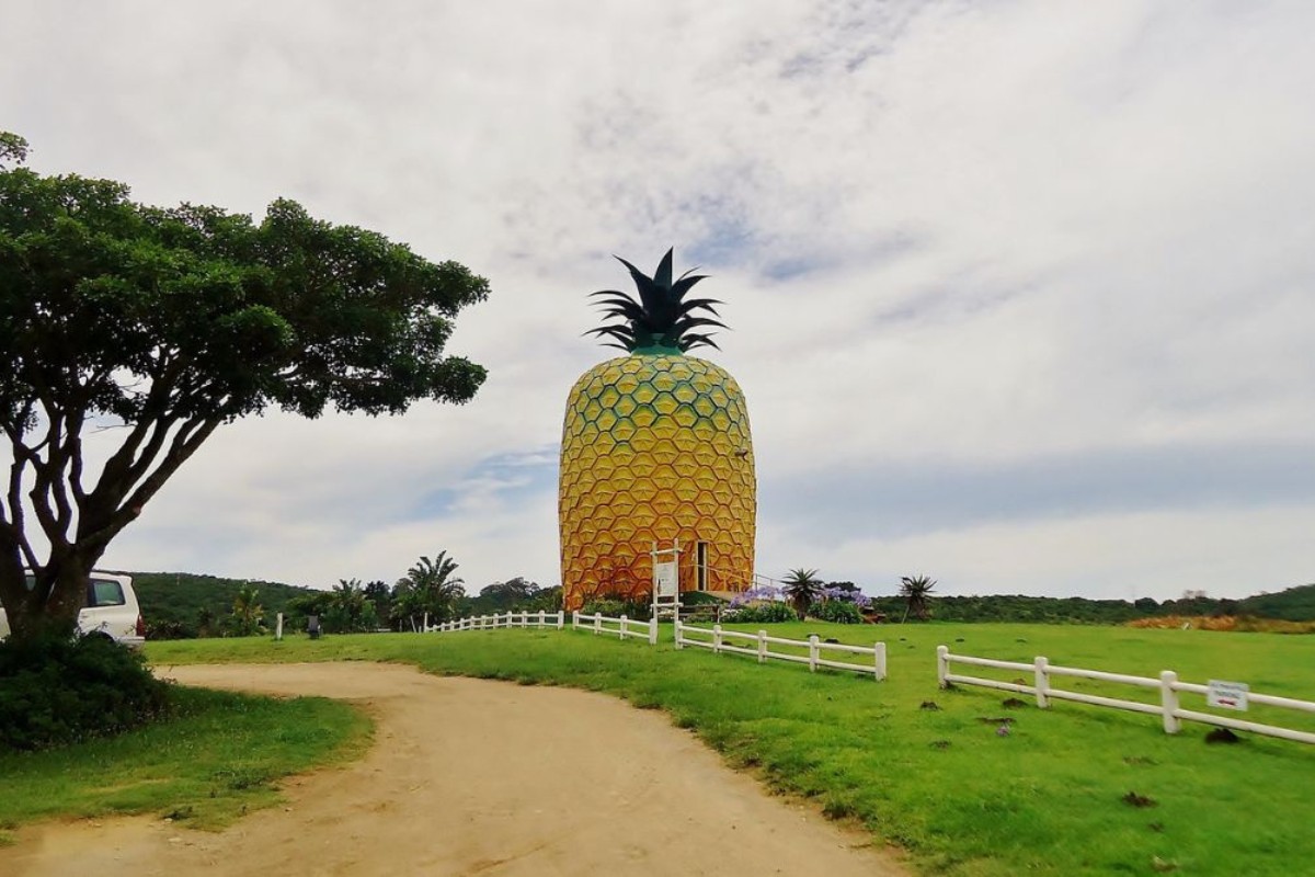 Explore South Africa: Perfect Getaways for Upcoming Long Weekends