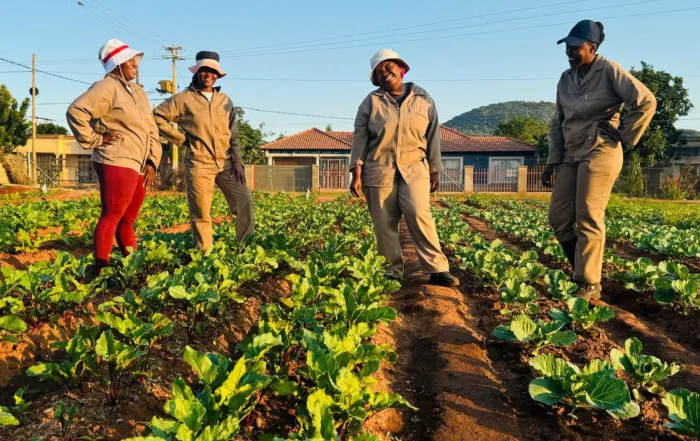 New Support Drive Boosts Small-Scale Farmers Across South Africa