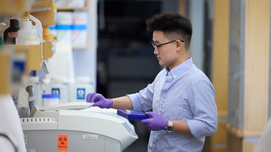 New Metabolic Strategy Targets Cellular Energy Use