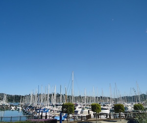 Sausalito bay