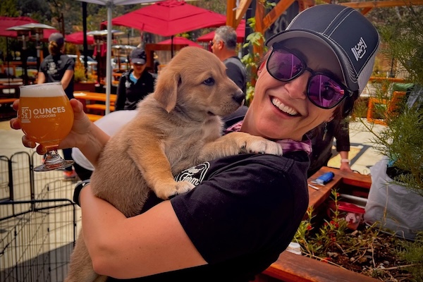 Golden retriever puppy at a brewery