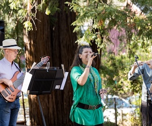 Marin Art & Garden Summer Concert