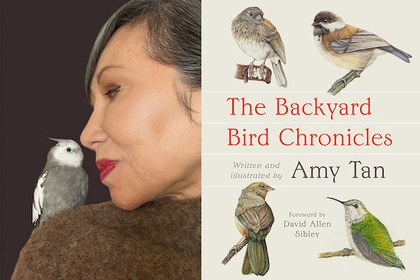 The Backyard Bird Chronicles by Amy Tan