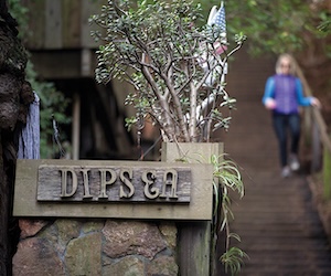 Dipsea Race Foundation Dinner, June 7th