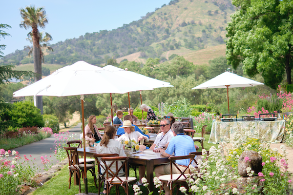 Stags Leap District Vineyard to Vintner