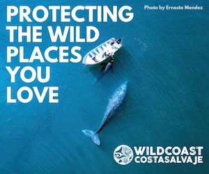 Protecting the wild places you love