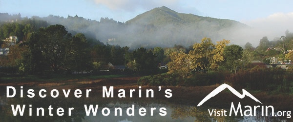 Discover Marin's Winter Wonders