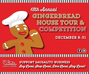 18th Annual Gingerbread Hour Tour & Competition