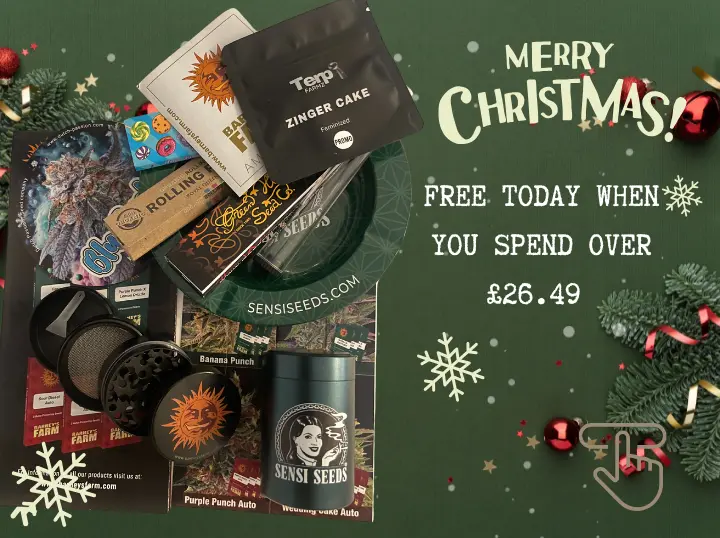 Exclusive Limited Time Gift