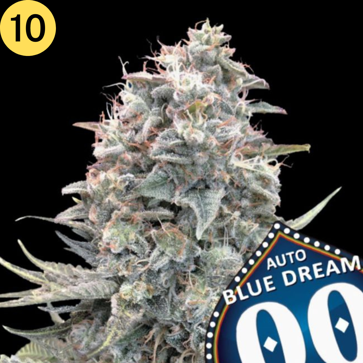 Auto Blue Dream