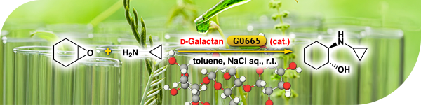 植物基环保型有机催化剂用于环氧化合物的不对称开环反应