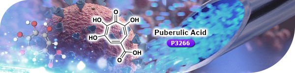 唾液酸酶——用于释放末端唾液酸的酶