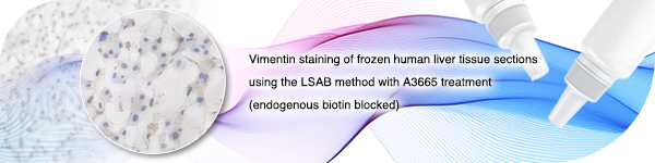 免疫染色专用内源性生物素封闭试剂盒
