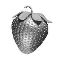 Strawberry email fields forever.