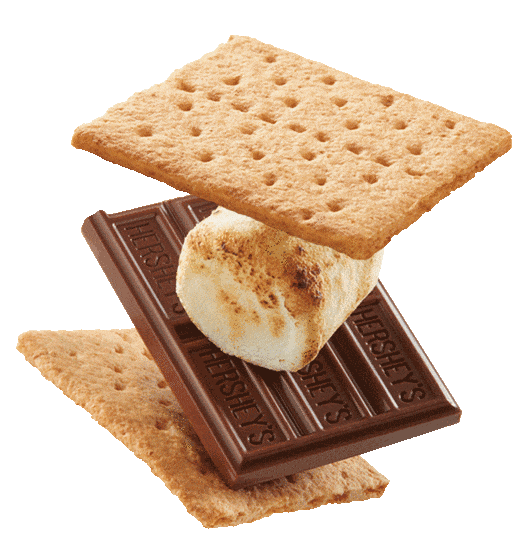 An image of a graham cracker lifting up and down on a smore.