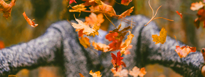 Reminder Illustration