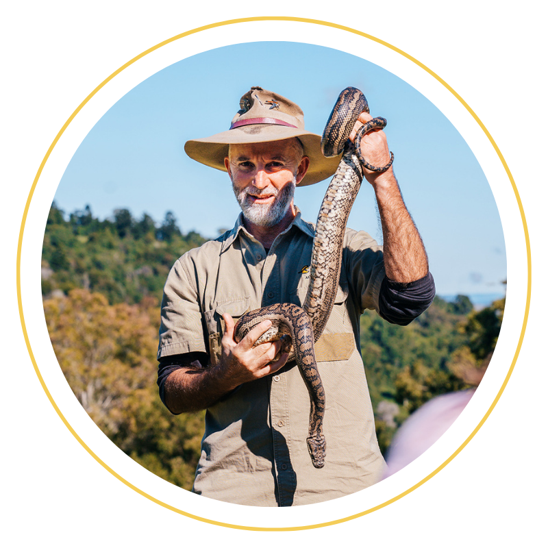 Wildlife Encounter