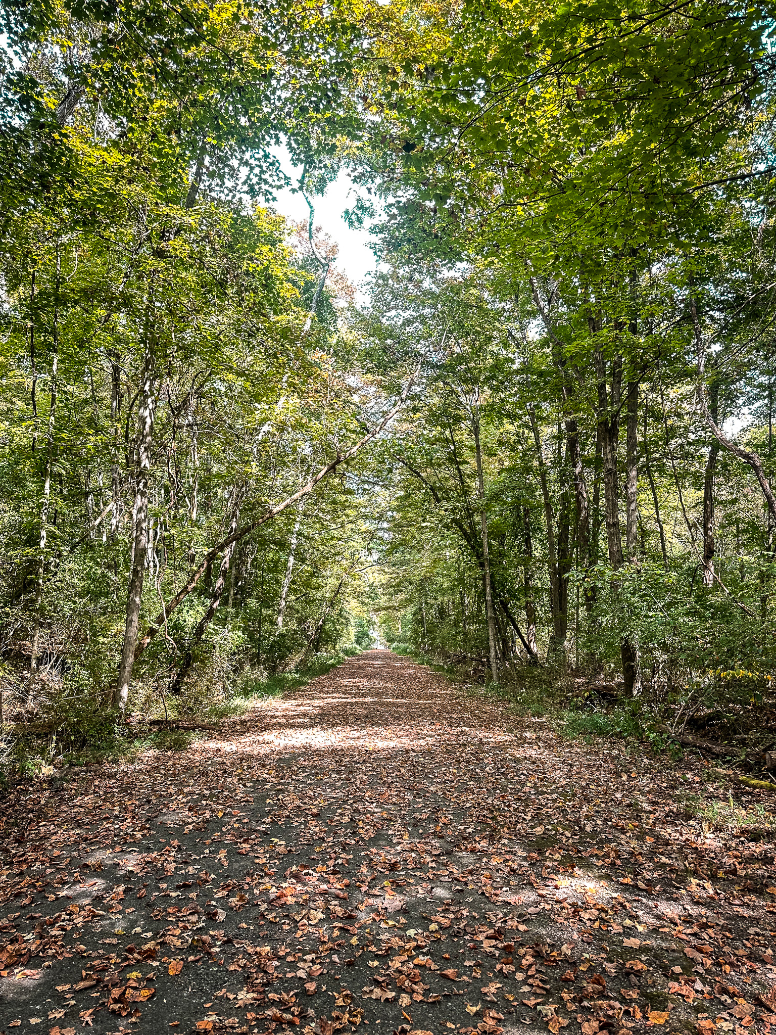East Fork State Park Connector Photo