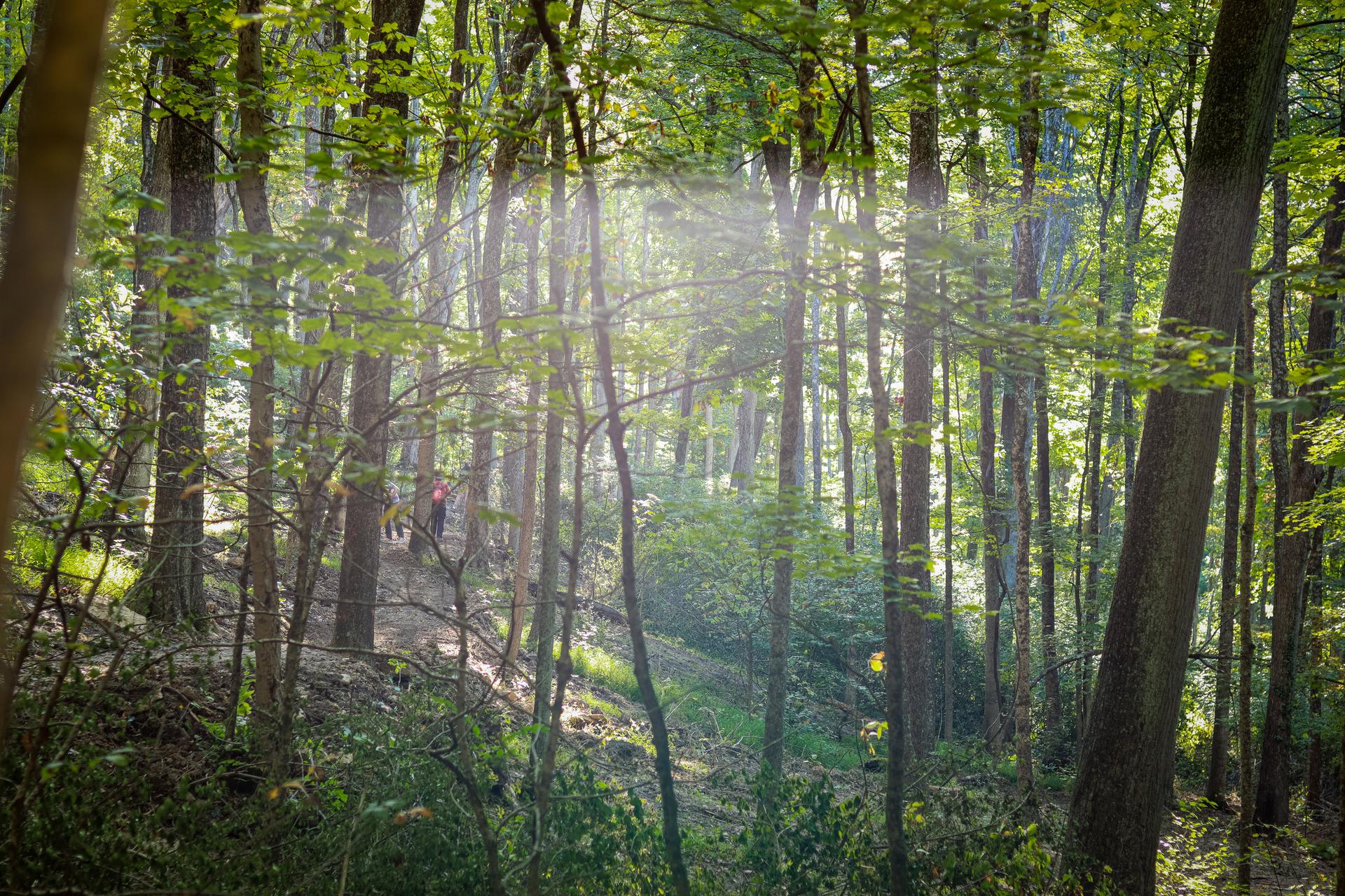 Goltra Preserve Trail Day Photo