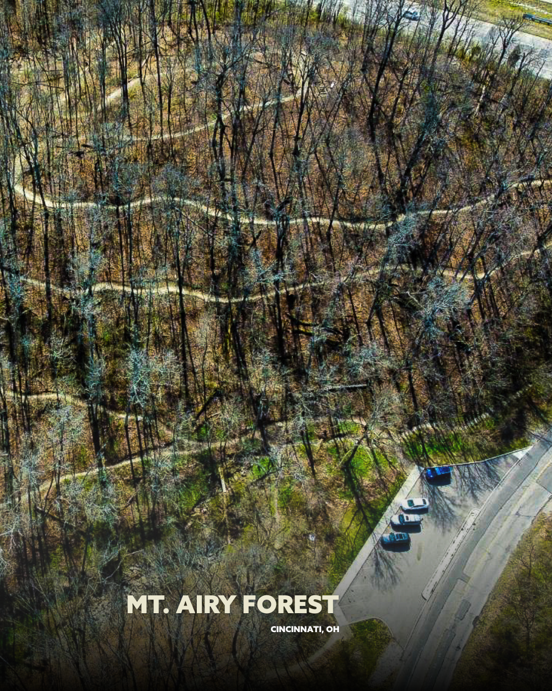 Mount Airy Forest Mountain Bike Trails
