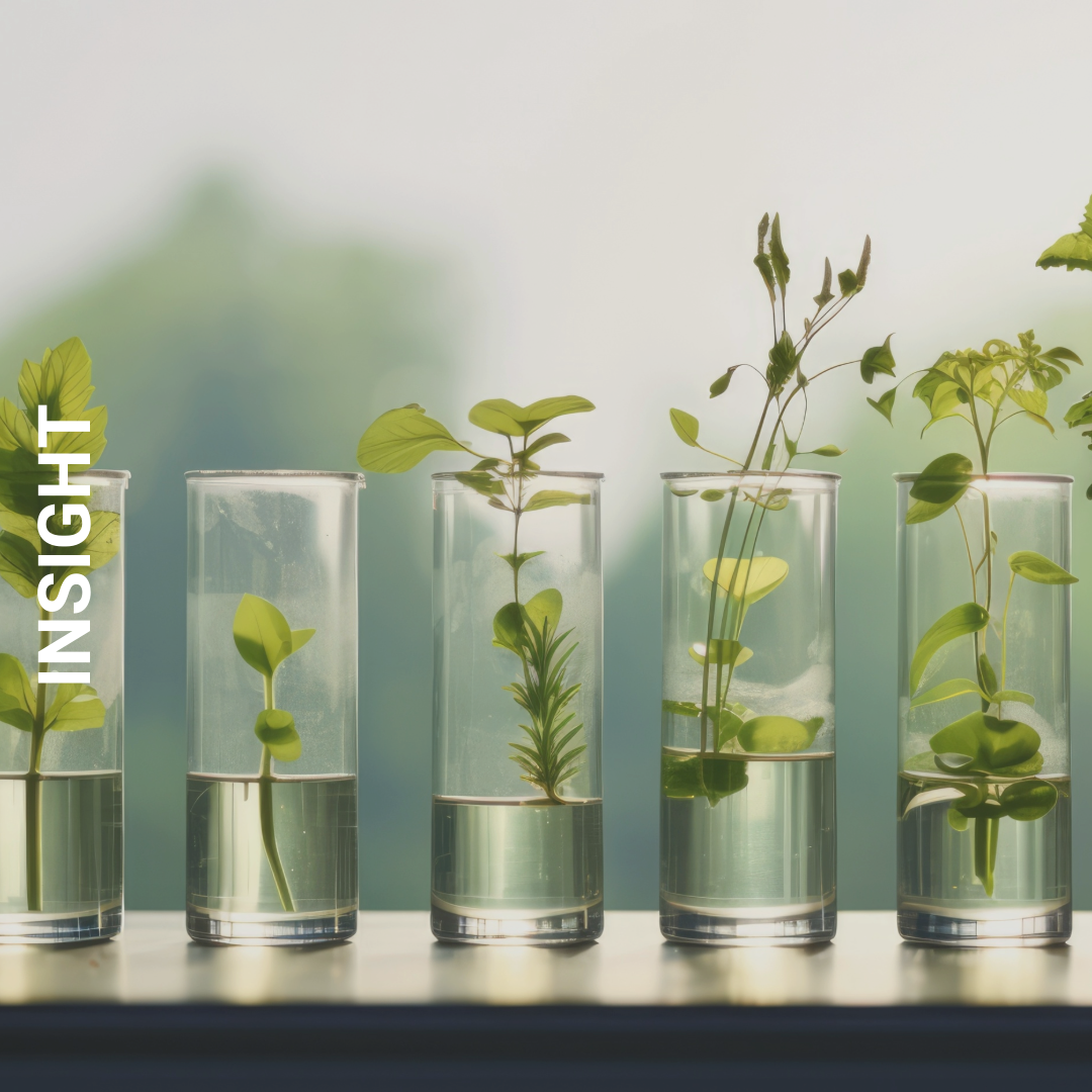 What Can Health Economics Learn from the Environmental Economics Approach to Discounting? 