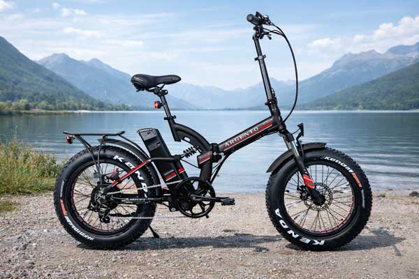 bici elettrice Argento pieghevole