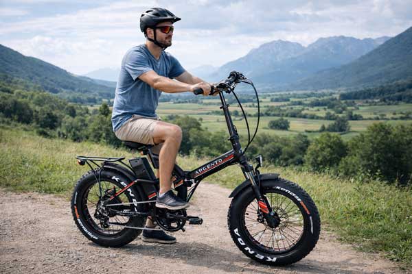 bici elettrica Argento