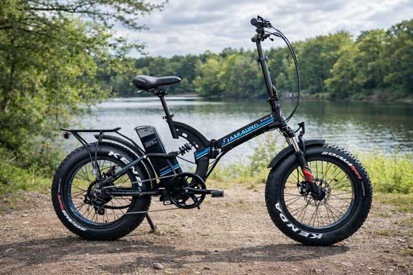bici elettrica pieghevole