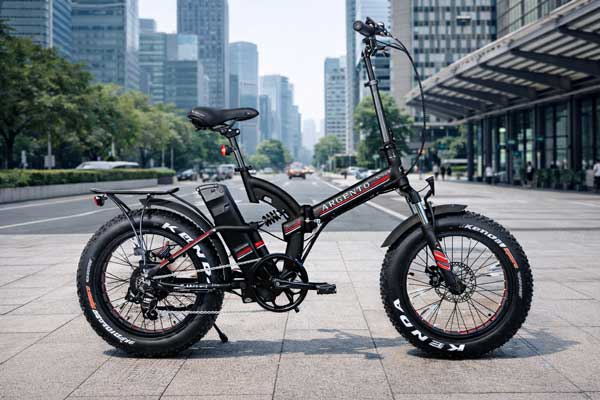 Bici Elettrica Pieghevole AR-BI-210027