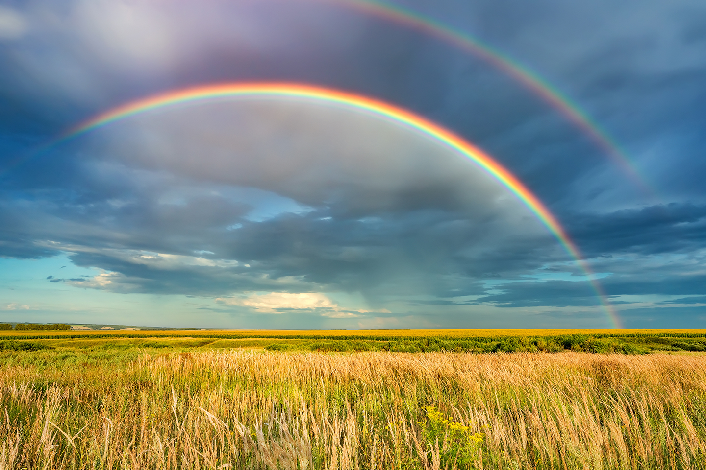 a double rainbow over a field