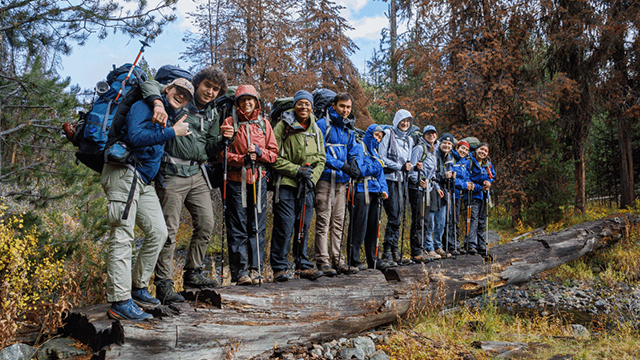 A line of people stand on a log in the forest.