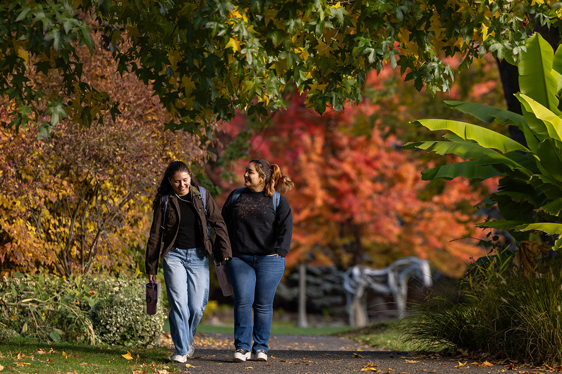 Two students walk down a campus pathway surrounded by fall foliage 