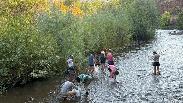 A group of students wade in a shallow riverbed.