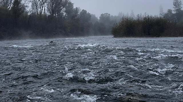 A rushing river on a foggy day