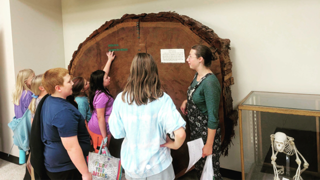 A group of young children stand next to a cross section slice of a large tree that stands taller than they do.