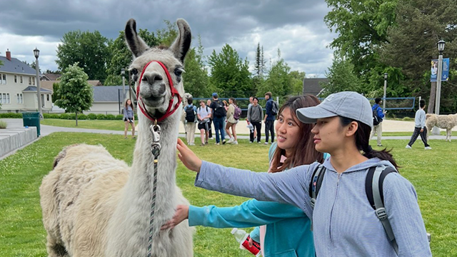 Two students pet a llama.