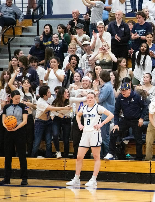 Fans cheering on women's basketball team