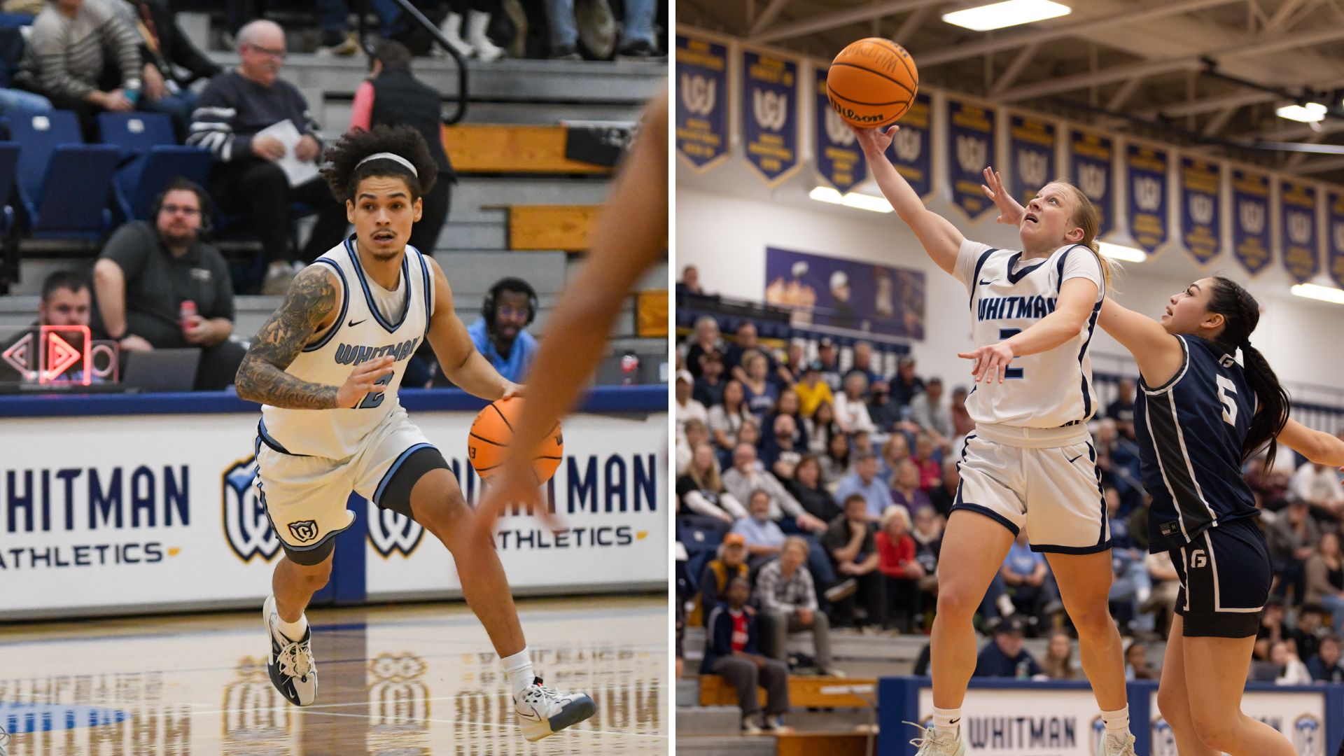 A grid with two photos. The photo on the left is a close up of a Blues men’s basketball player. The photo on the right is a close up of a Blues women’s basketball player going for a lay up.