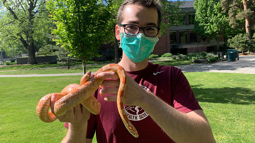 Willem Rasmussen, wearing a face mask and a red shirt, holding an orange snake.