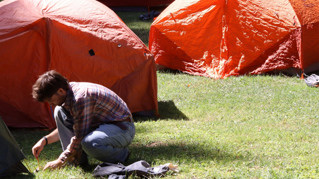 A person crouches next to two orange camping tents that have been erected in a grassy area.