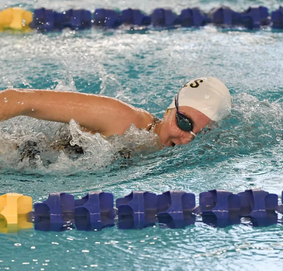A swimmer in the water