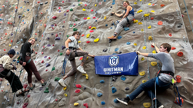 Five people attached to ropes on a climbing wall; two hold a “Whitman Blues” banner.