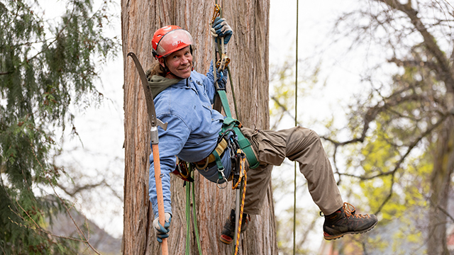 Kirk Huffey hanges from a safety harness in front of a large tree trunk.