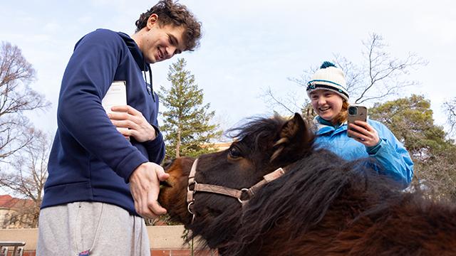 Two smiling students interact with a miniature horse with dark brown mane.