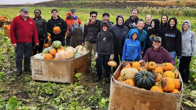 A group of people stand next to two large bins of pumpkins of various sizes and colors.