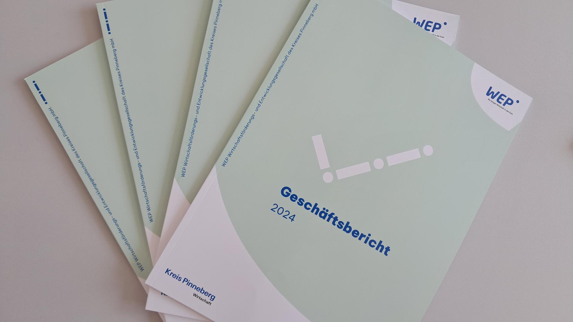WEP Geschäftsbericht