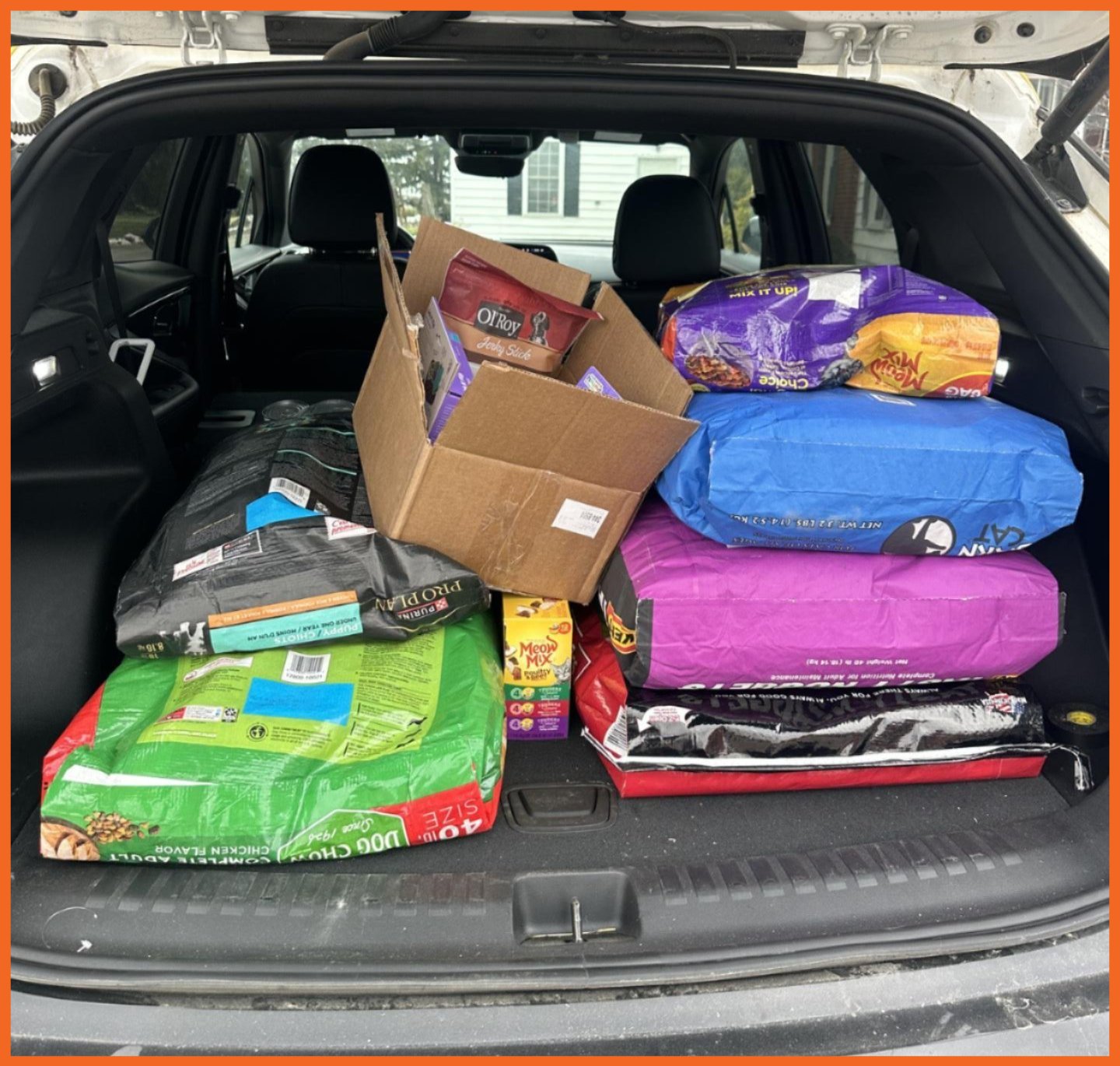 Pet food donations in back of car