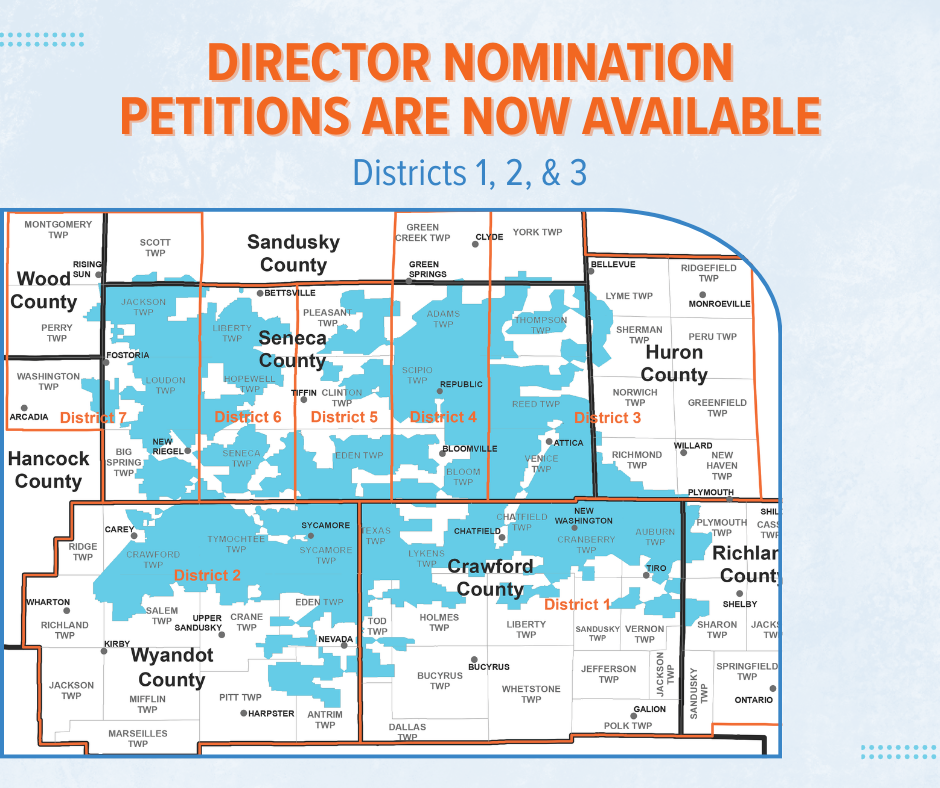 Director Nomination petitions graphic