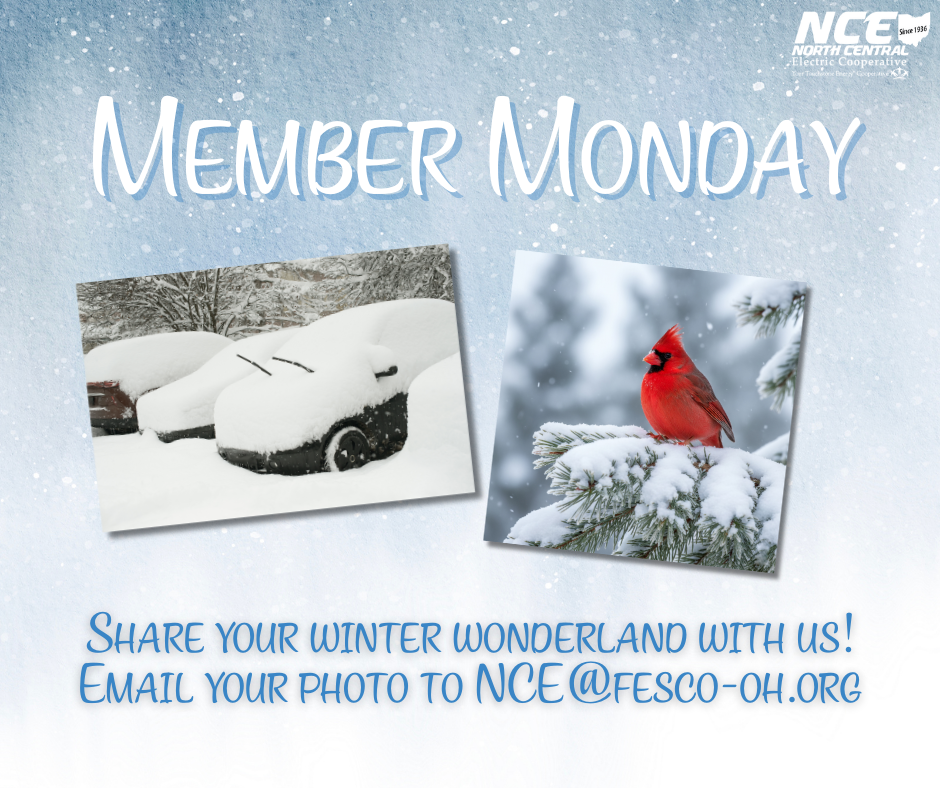 Winter Member Monday graphic